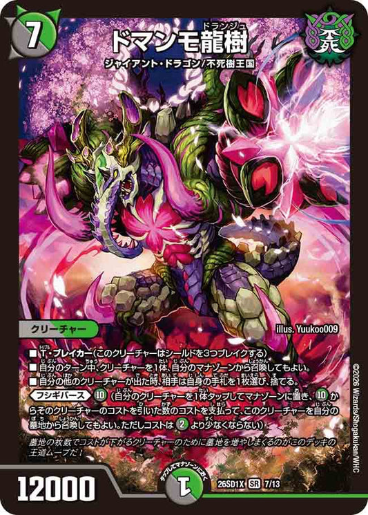 ドマンモ龍樹　X
