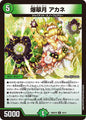 爆翠月　アカネ　Q